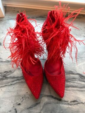 Red Feather Embellished Pointed-Toe Women’s Pumps